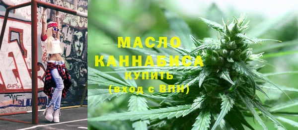 гидропоника Горняк