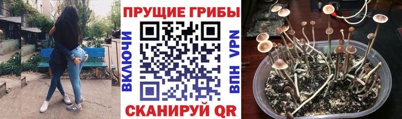 Псилоцибиновые грибы GOLDEN TEACHER  blacksprut ONION  Полысаево 